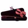 Set Laminated Violin 4/4 Pink Alexander Gotye
