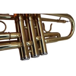 Gold Trumpet Alexander Gotye