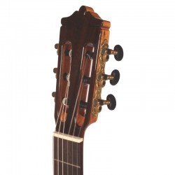 Amplified Classical Guitar Tatay Rosewood