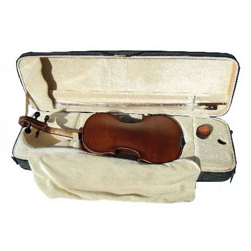 Solid Violin Set Alexander Gotye 544