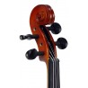 Solid Violin Set Alexander Gotye TY-7