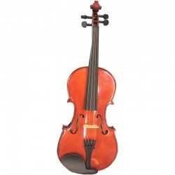 15'' Viola Set Alexander Gotye TY-15