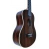 Rosewood Soprano Ukulele EGMOND