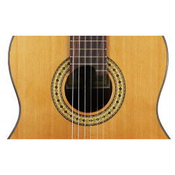 Classical Guitar Vicente Tatay Cedar