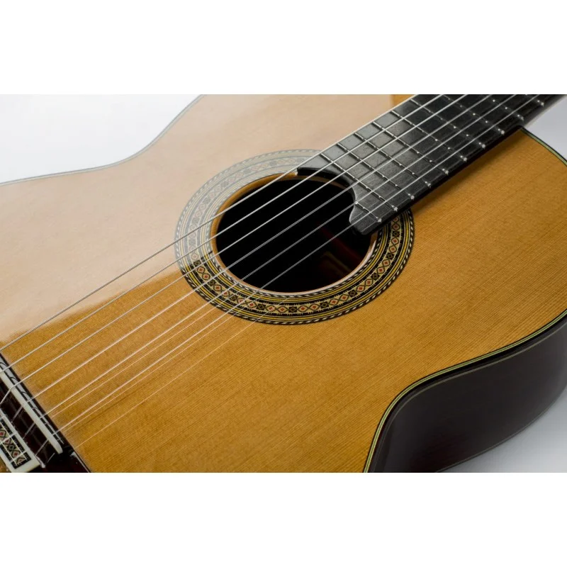 Classical Guitar Vicente Carrillo "India Primera" - Image 7