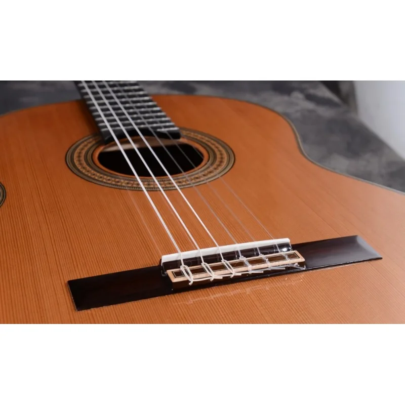 Guitarra Clásica Martínez ES-12C - Imagen 2