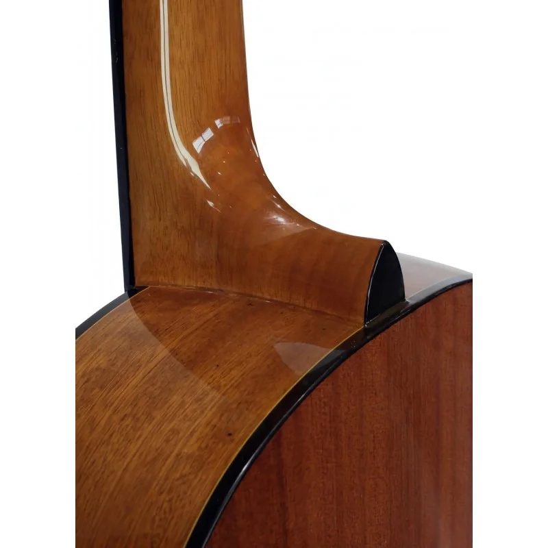 Classical Guitar Vicente Tatay Initiation - Image 5