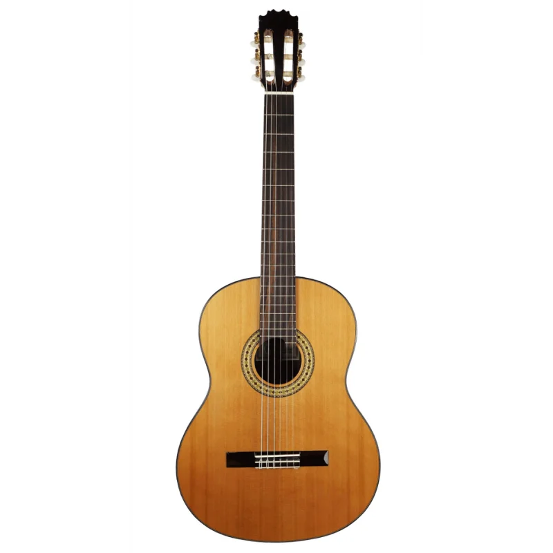 Classical Guitar Vicente Tatay Cedar